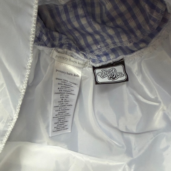 Wizard of Oz pottery barn costume - Picture 3 of 4